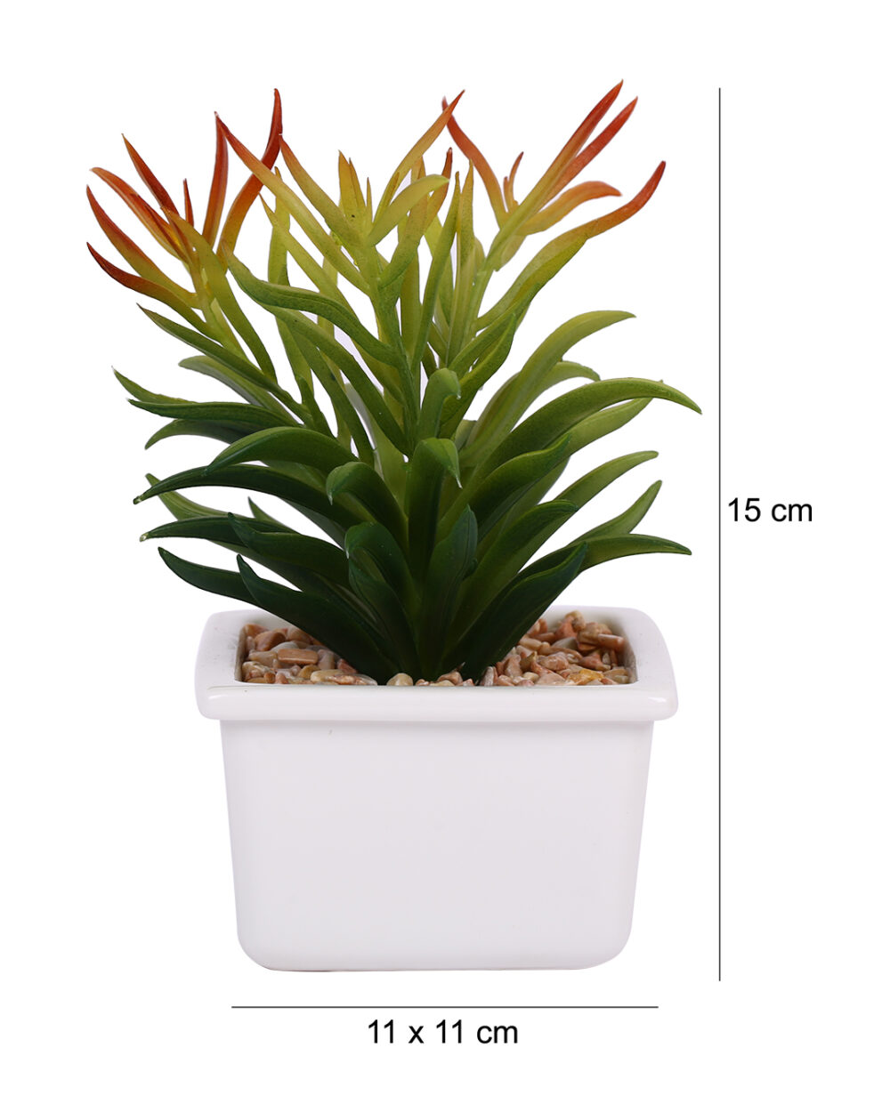 Invest in timeless beauty and elevate your home décor with Fourwalls. Order your Artificial Succulent today and bring the captivating allure of nature into your home.