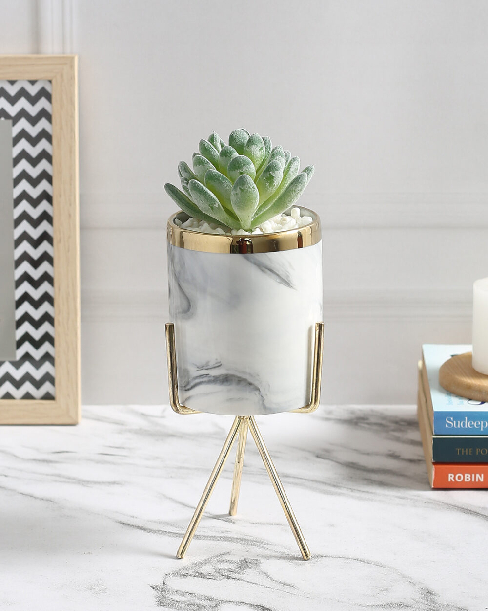 Fourwalls Elegant Succulent Plant with Metal Tripod Stand (22 cm Tall)