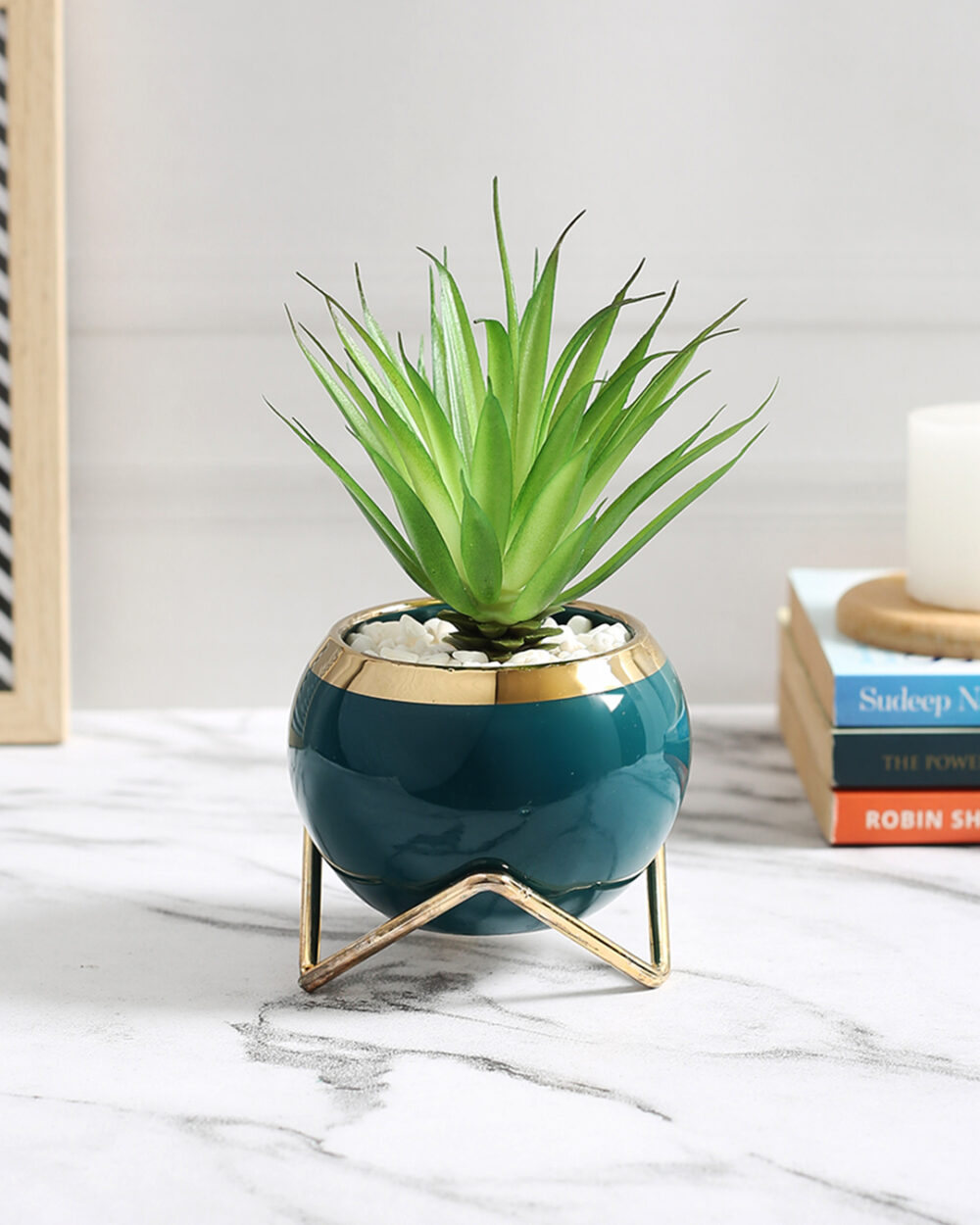 Fourwalls Premium Succulent Plant with Round Ceramic Pot (16 cm Tall)