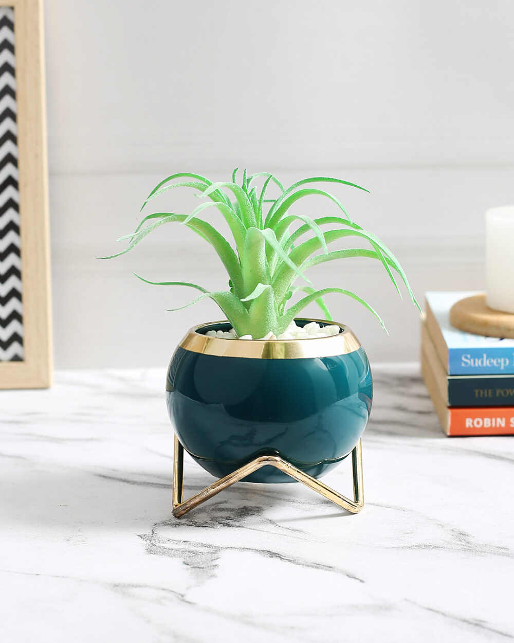 Fourwalls Premium Succulent Plant with Round Ceramic Pot (15.5 cm Tall)