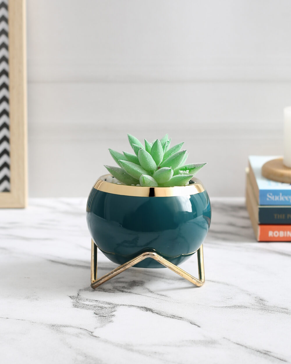 Fourwalls Premium Succulent Plant with Round Ceramic Pot (11 cm Tall)
