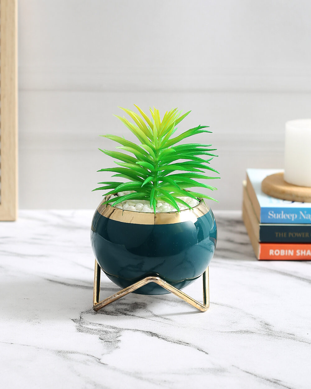 Fourwalls Premium Succulent Plant with Round Ceramic Pot (14.5 cm Tall)