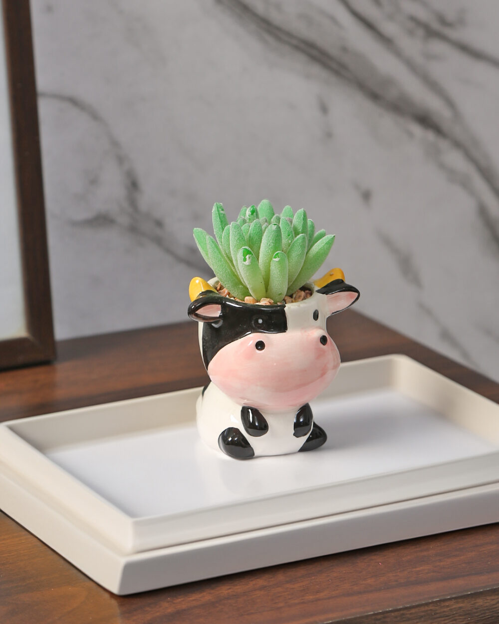Fourwalls Stylish Succulent Plant in Animal Shaped Pot (11.5 cm Tall)