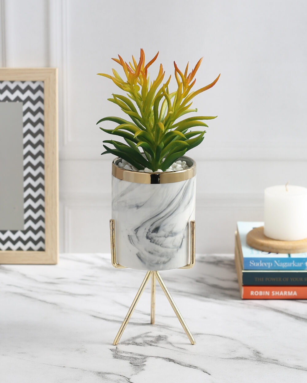 Fourwalls Elegant Succulent Plant with Metal Tripod Stand (28 cm Tall)