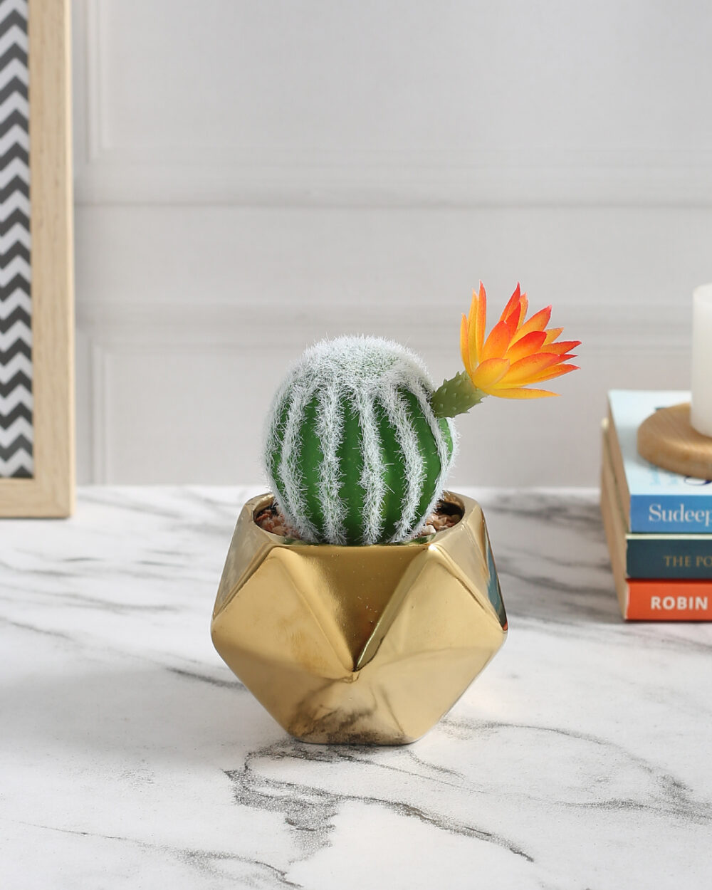 Fourwalls Bespoke Succulent Plant with Golden Pot (15 cm Tall)