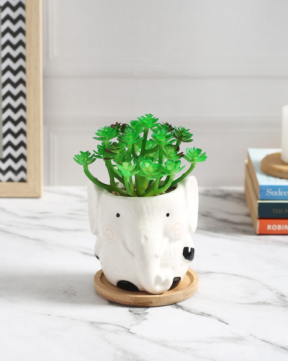 Fourwalls Premium Succulent Plant in Animal Shaped Pot (17.5 cm Tall)