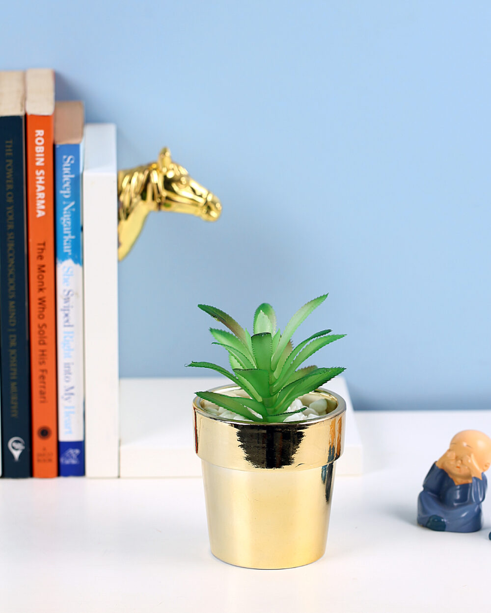 Fourwalls Premium Succulent Plant in Golden Pot (13.5 cm Tall)