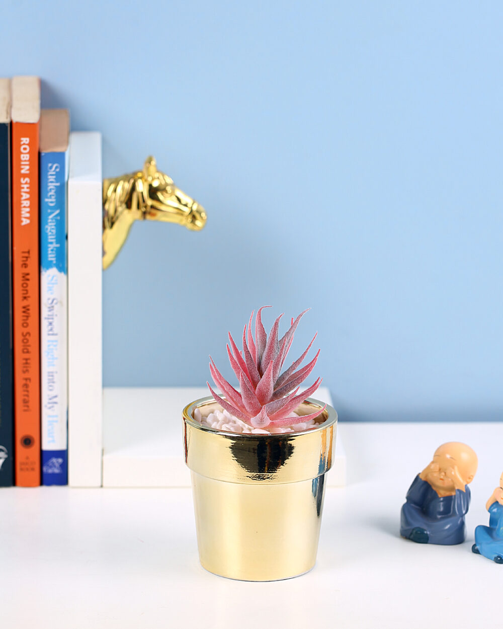 Fourwalls Premium Succulent Plant in Golden Pot (16.5 cm Tall)