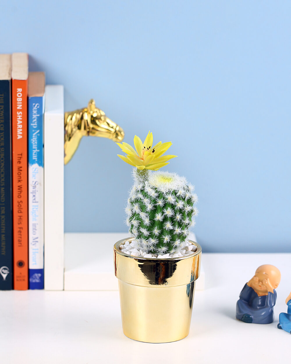 Fourwalls Premium Succulent Plant in Golden Pot (14 cm Tall)