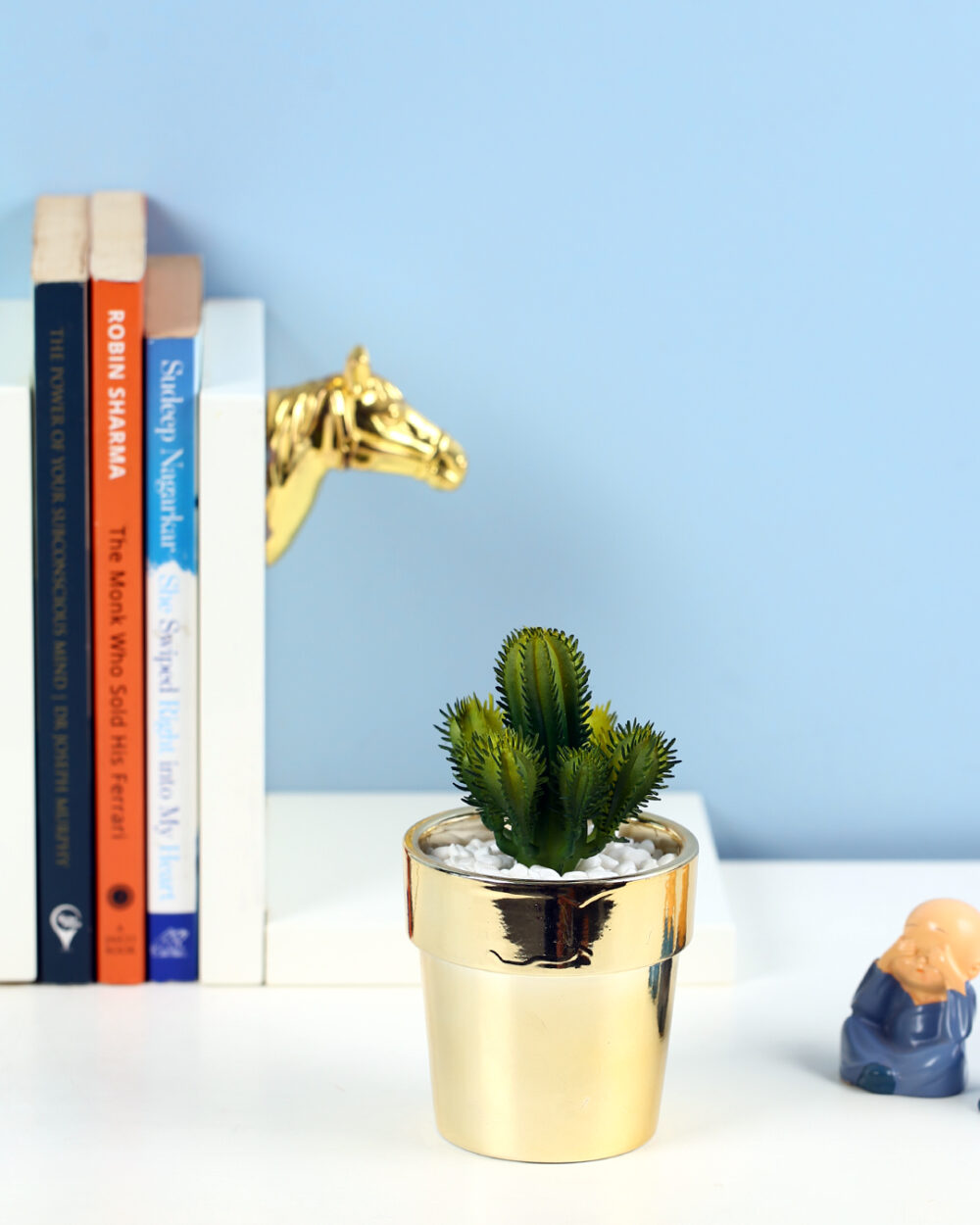 Fourwalls Premium Succulent Plant in Golden Pot (19 cm Tall)