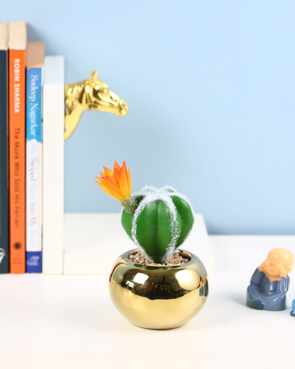 Fourwalls Stylish Succulent Plant with Round Pot (17 cm Tall)