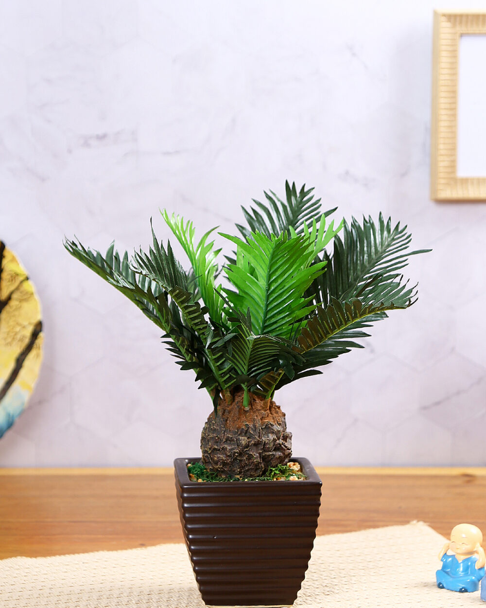 Fourwalls Cycas Plant in Ceramic Pot (29 cm Tall, Green)