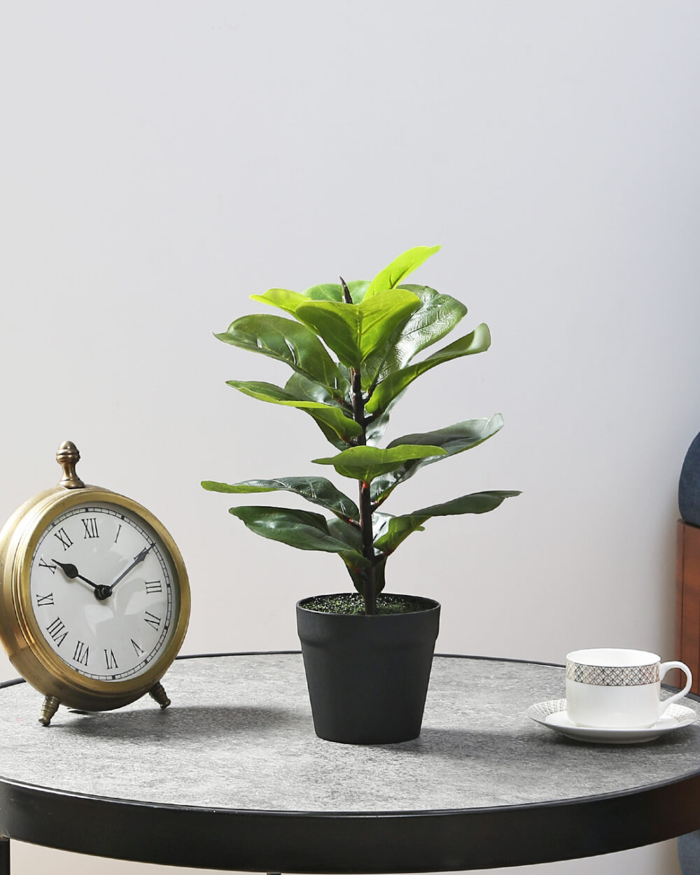 Fourwalls Fiddle Leaf in Plastic Pot  (Green)