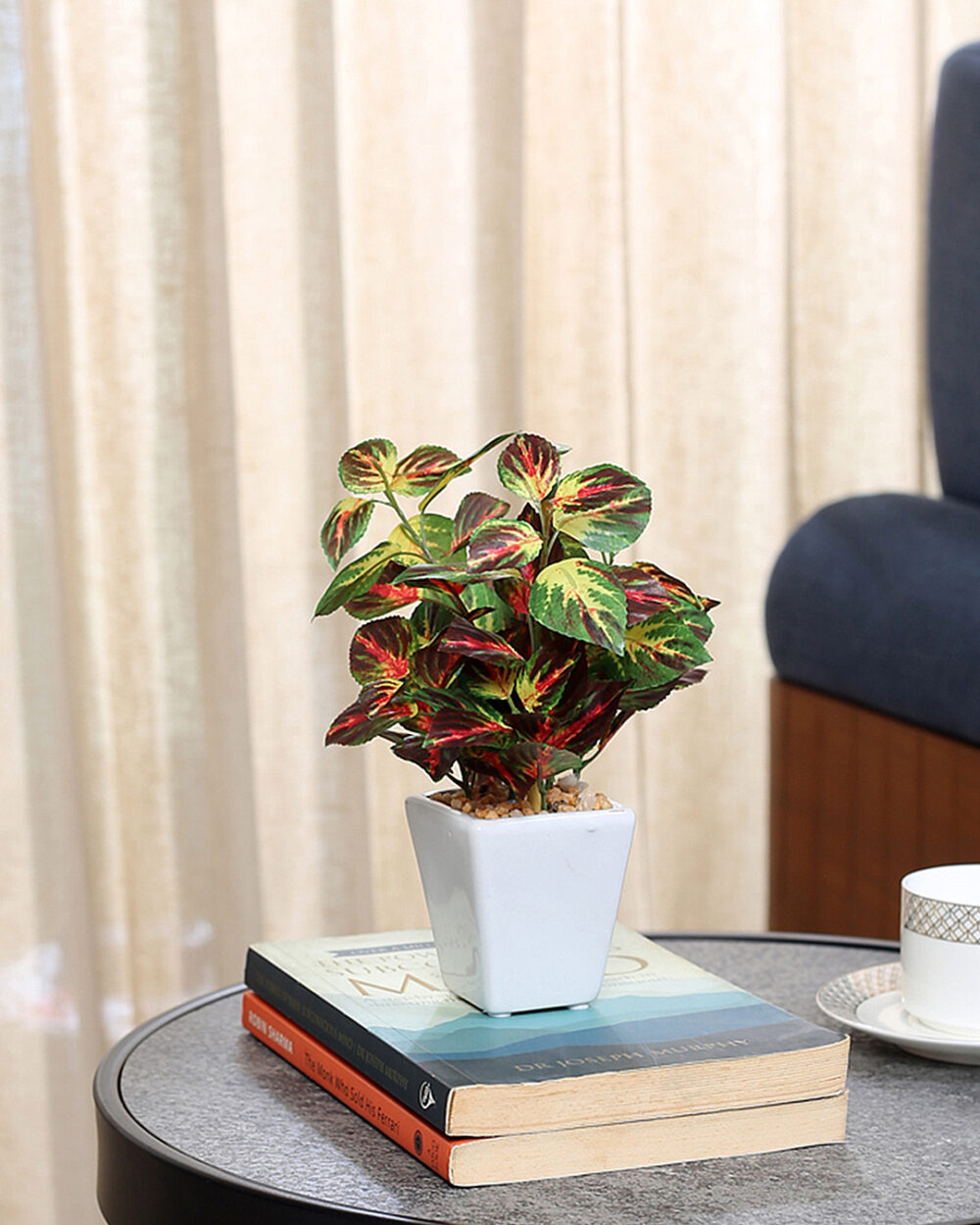 Fourwalls Artificial Wandering Potted Plant in Ceramic Pot (19 cm Tall)