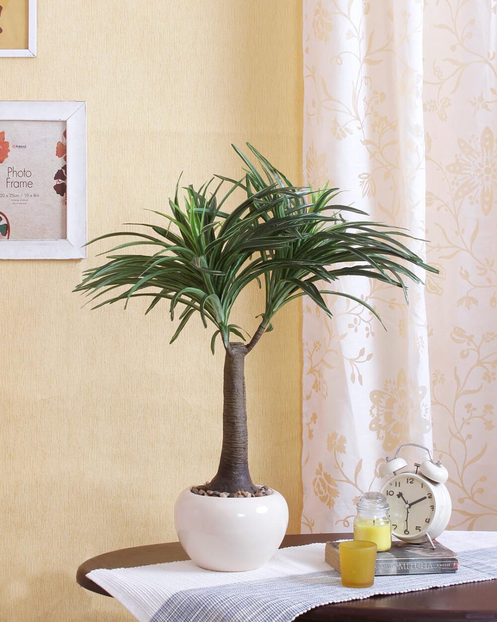 Fourwalls Nolina Plant in Ceramic Pot (62 cm Tall, Green)