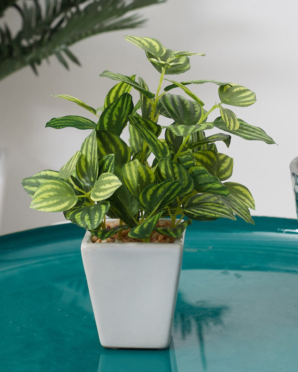 Fourwalls Artificial Wandering Potted Plant in Ceramic Pot (19 cm Tall)