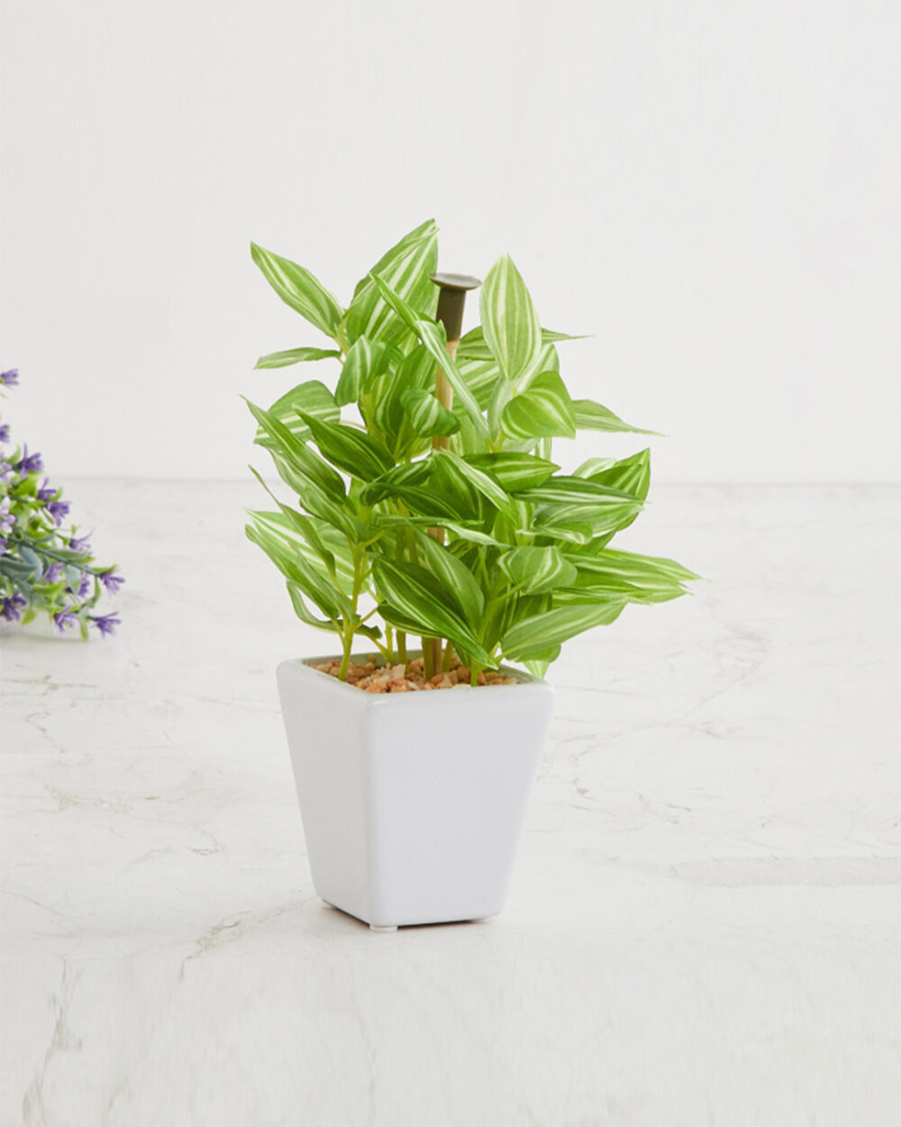 Fourwalls Artificial Wandering Potted Plant in Ceramic Pot (19 cm Tall)