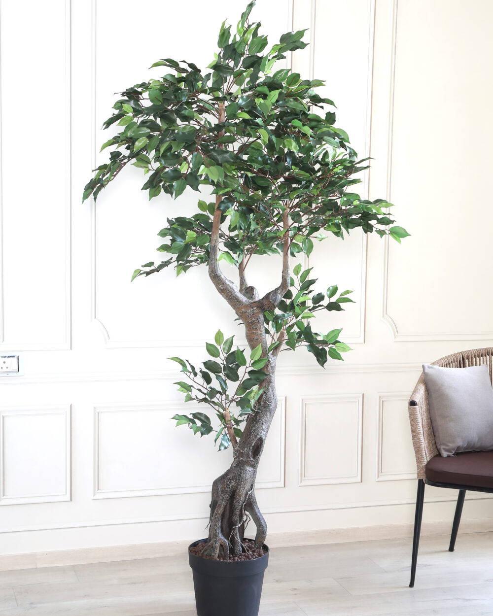 Fourwalls Artificial Ficus Tree with Pot - 6.5 Feet