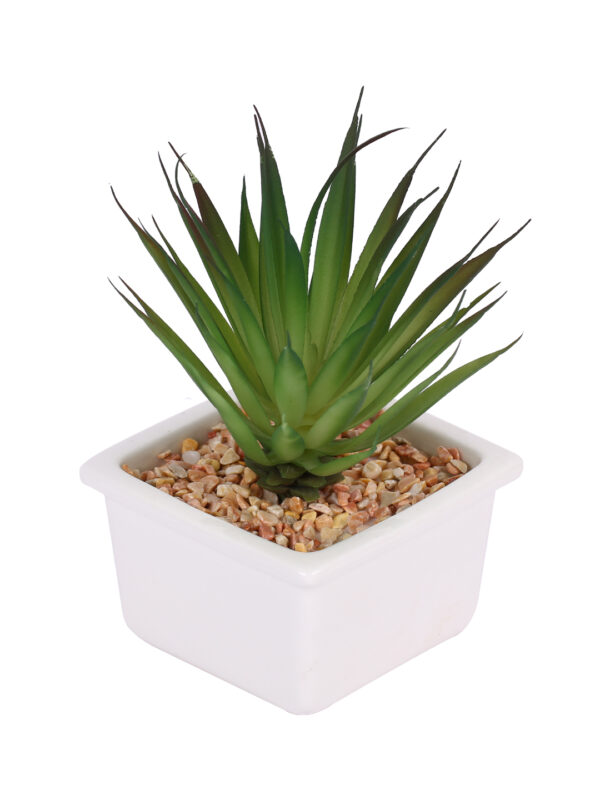 Fourwalls Artificial Succulent Plant with a Ceramic Pot (15 cm Tall)