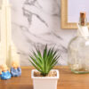 Artificial Succulent Plant with a Ceramic Pot