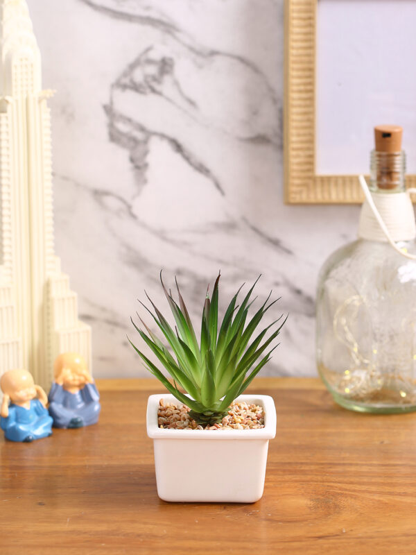 Artificial Succulent Plant with a Ceramic Pot