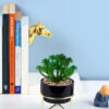 Artificial Succulent Plant with a with Ceramic Pot and Metal Stand