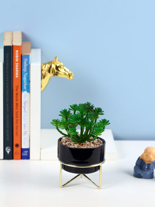 Artificial Succulent Plant with a with Ceramic Pot and Metal Stand