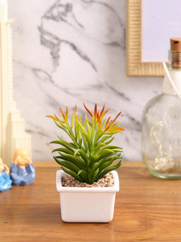 Invest in timeless beauty and elevate your home décor with Fourwalls. Order your Artificial Succulent today and bring the captivating allure of nature into your home.
