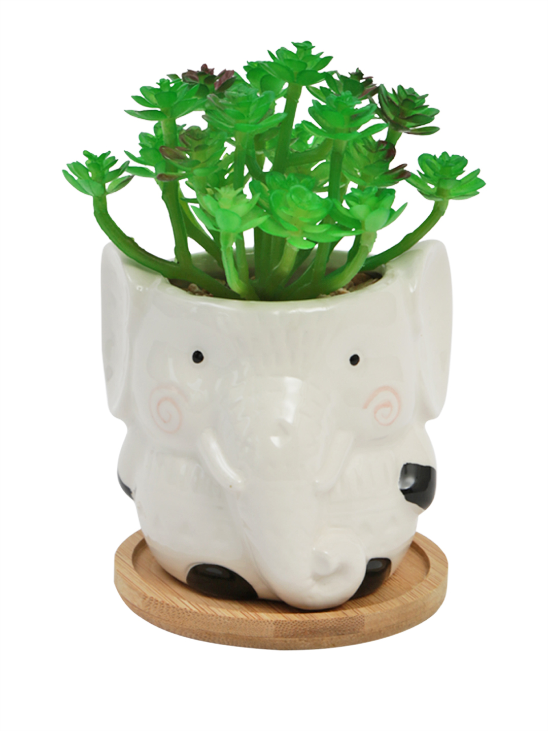 Fourwalls Premium Succulent Plant in Animal Shaped Pot (17.5 cm Tall) - Image 2
