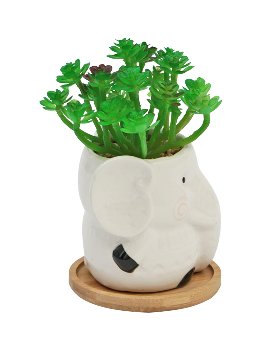 Fourwalls Premium Succulent Plant in Animal Shaped Pot (17.5 cm Tall) - Image 3