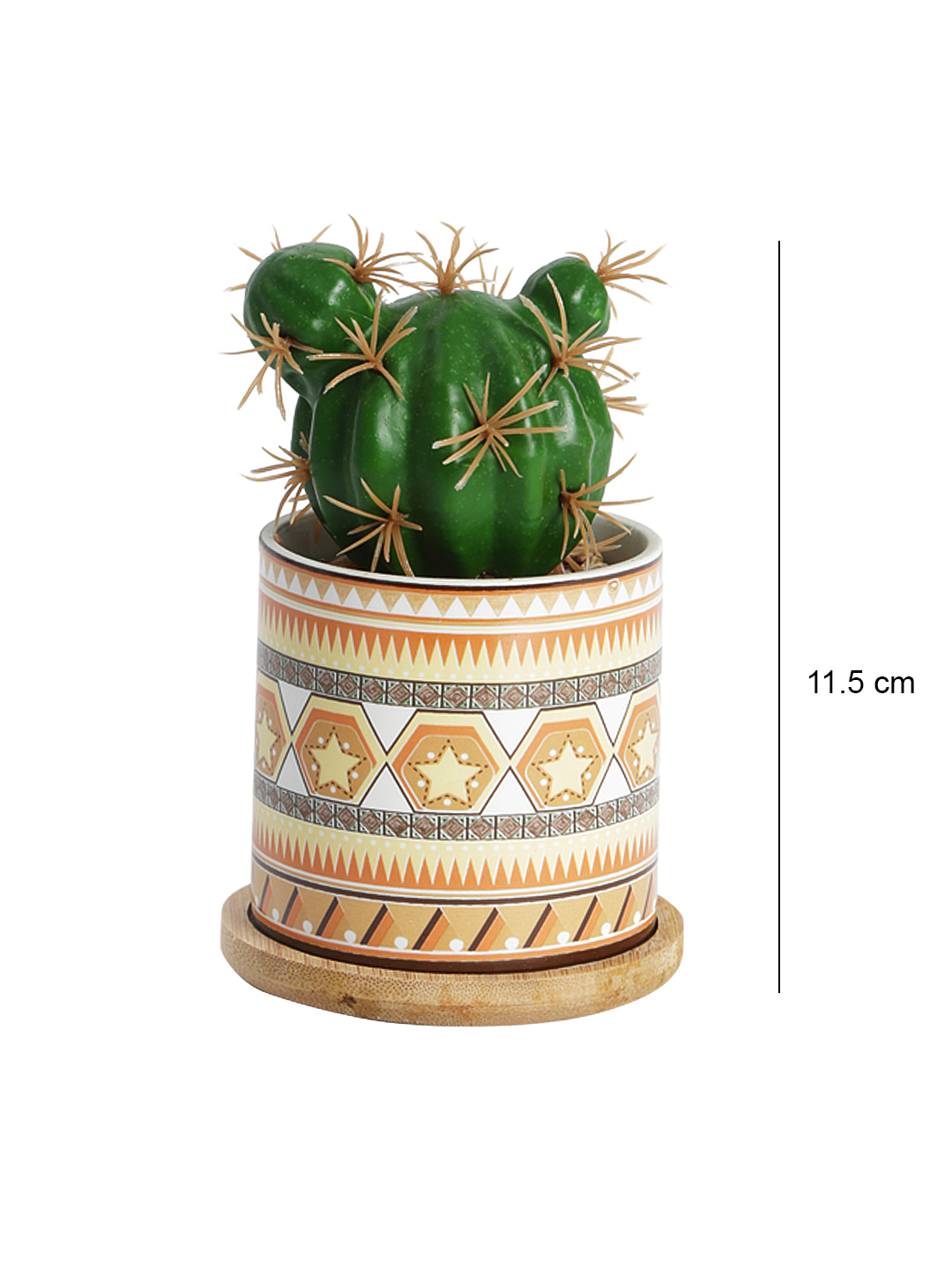 Fourwalls Stylish Succulent Plant with Printed Ceramic Vase (13.5 cm Tall) - Image 2