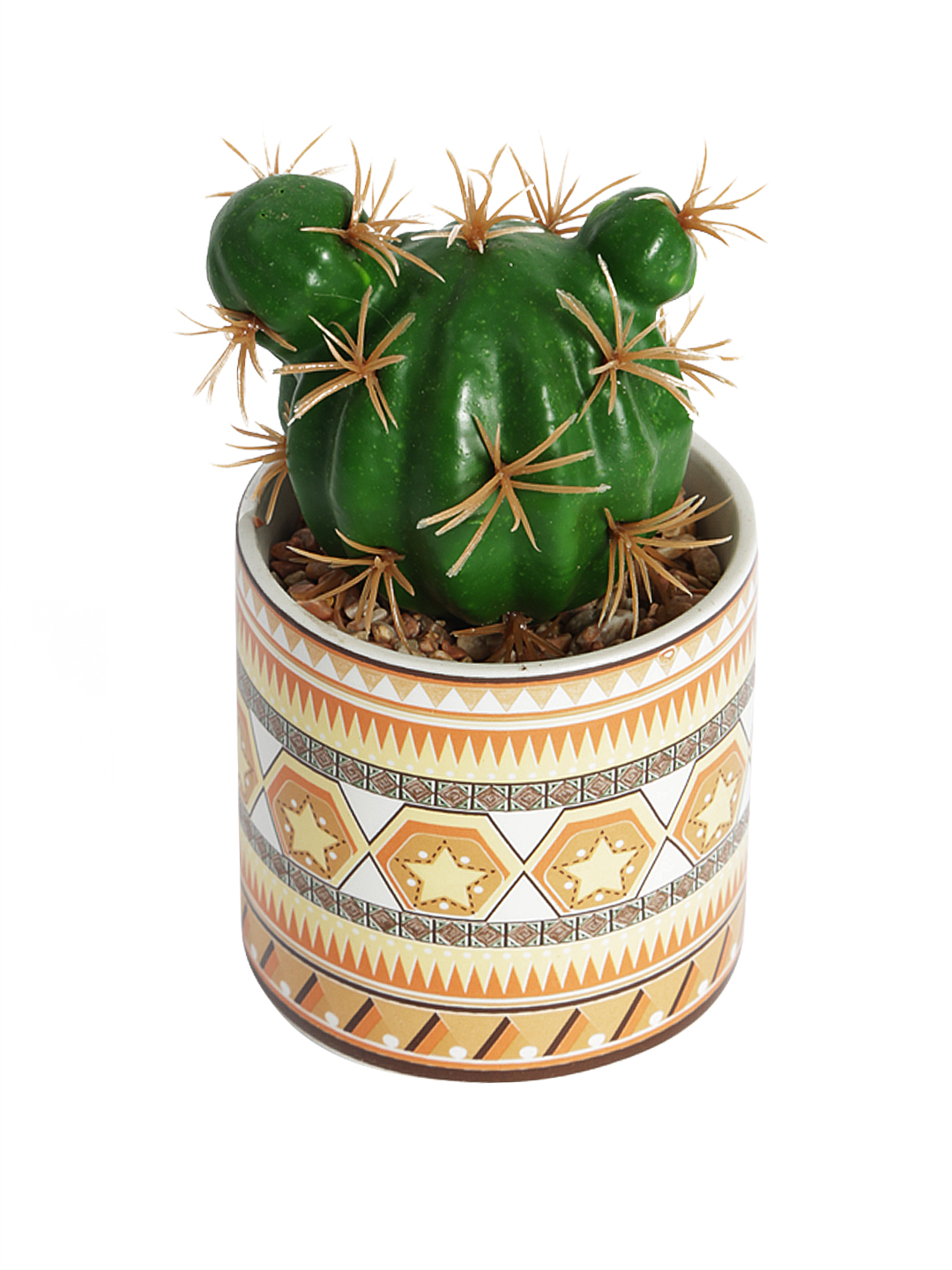 Fourwalls Stylish Succulent Plant with Printed Ceramic Vase (13.5 cm Tall) - Image 4