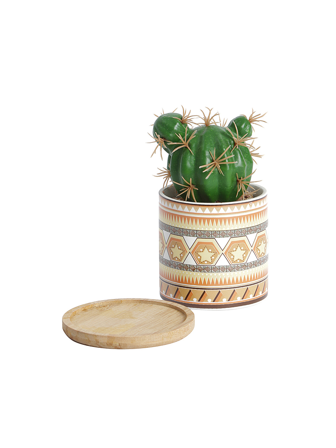 Fourwalls Stylish Succulent Plant with Printed Ceramic Vase (13.5 cm Tall) - Image 3