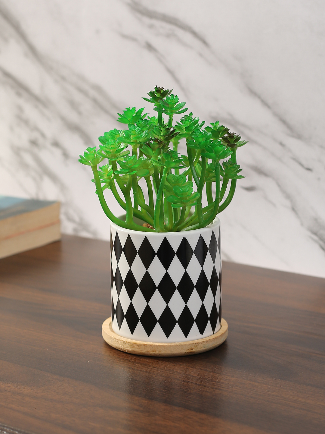 Fourwalls Stylish Succulent Plant with Printed Ceramic Vase (17 cm Tall)