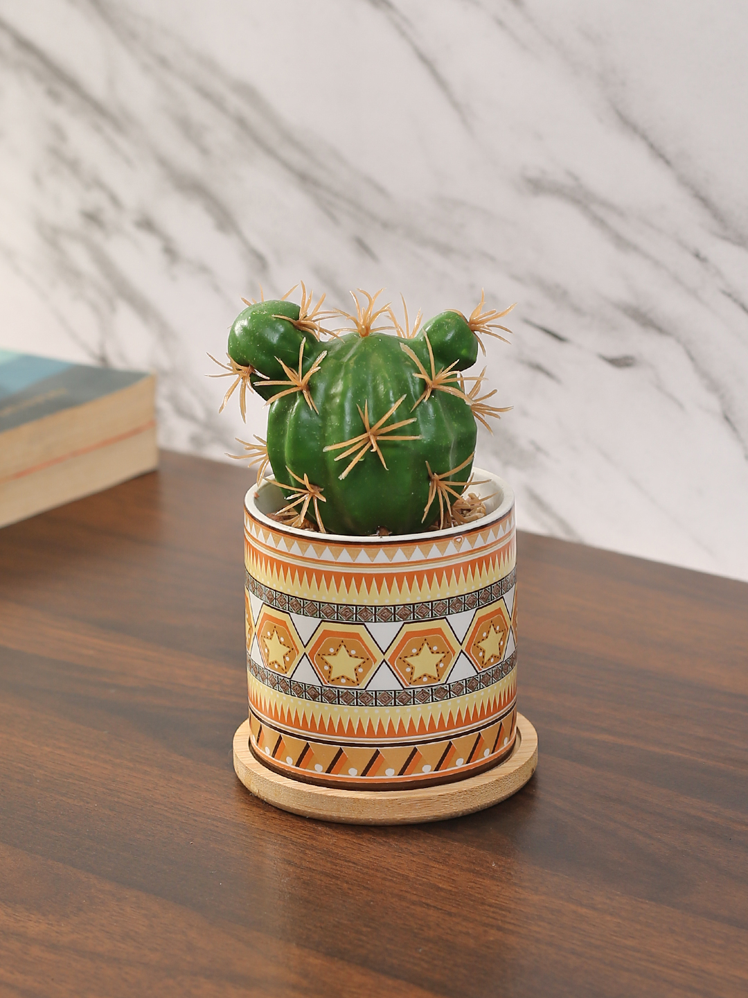 Fourwalls Stylish Succulent Plant with Printed Ceramic Vase (13.5 cm Tall)