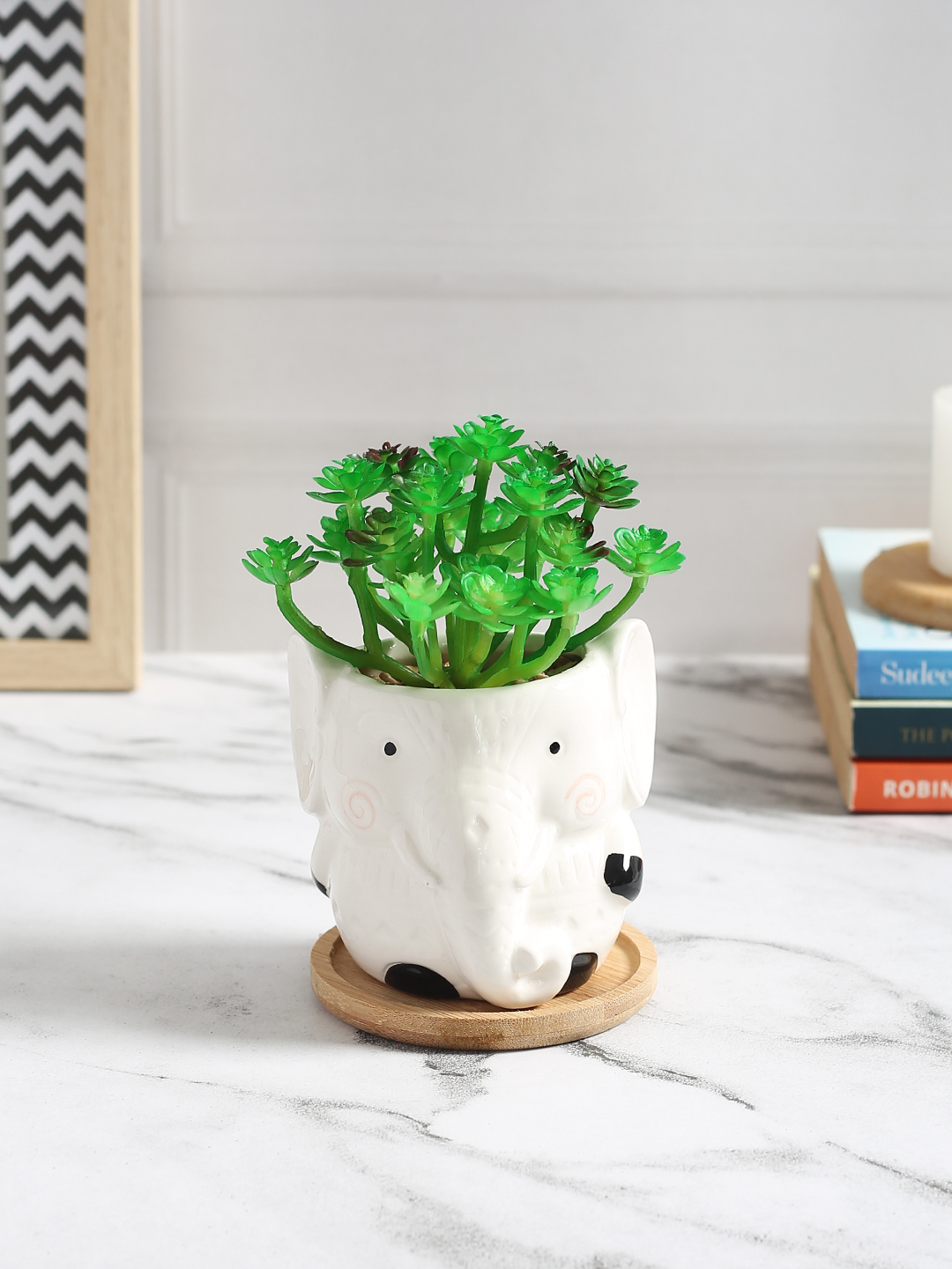Fourwalls Premium Succulent Plant in Animal Shaped Pot (17.5 cm Tall)