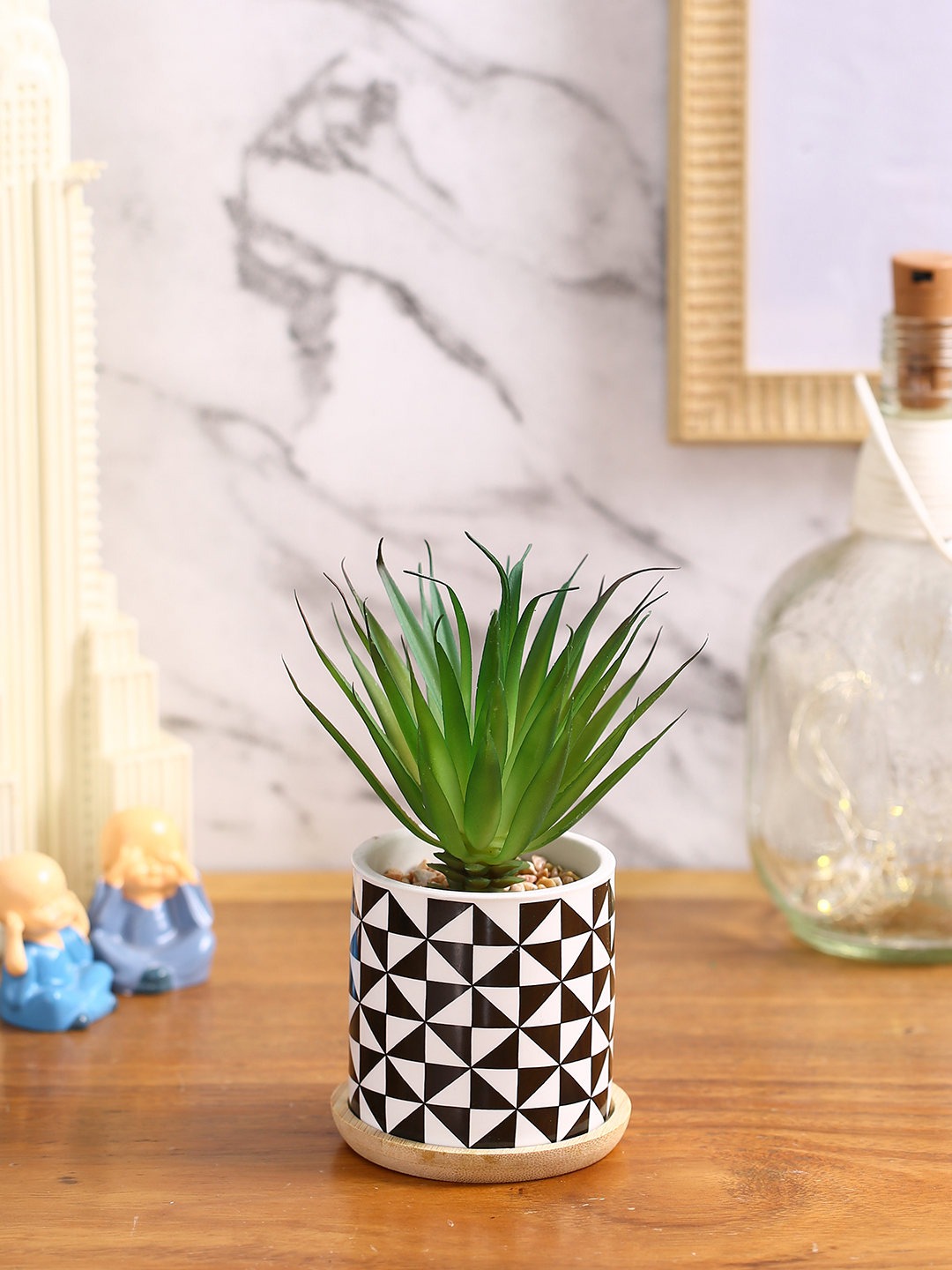 Fourwalls Stylish Succulent Plant with Printed Ceramic Vase (17.5 cm Tall)