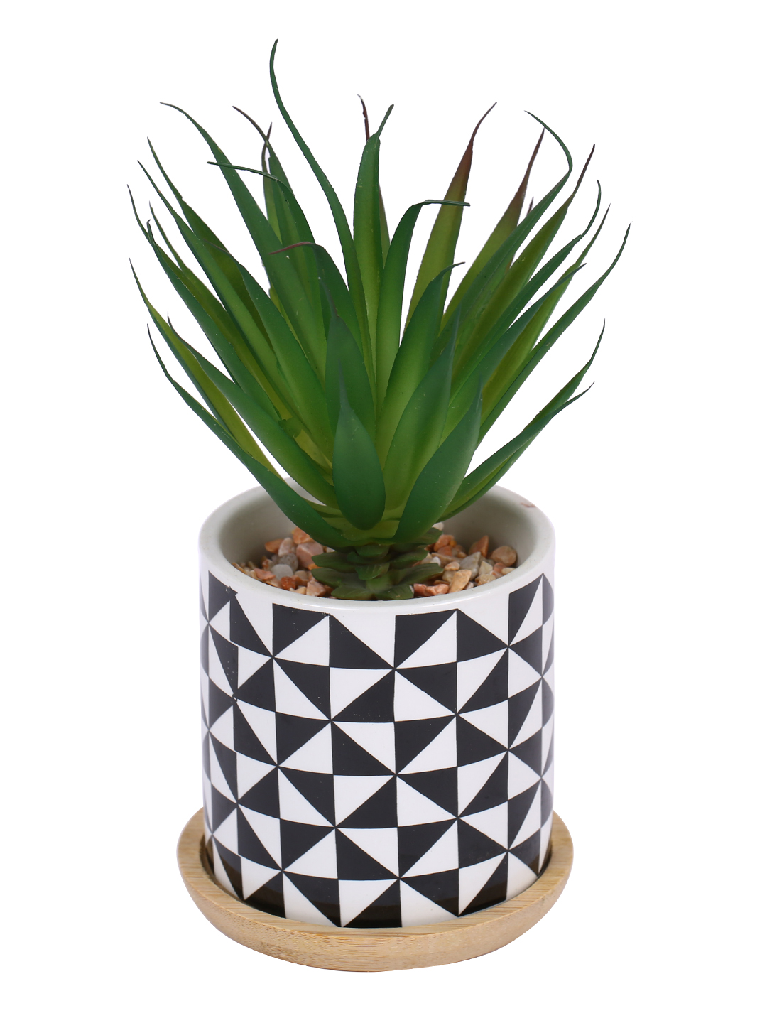 Fourwalls Stylish Succulent Plant with Printed Ceramic Vase (17.5 cm Tall) - Image 4