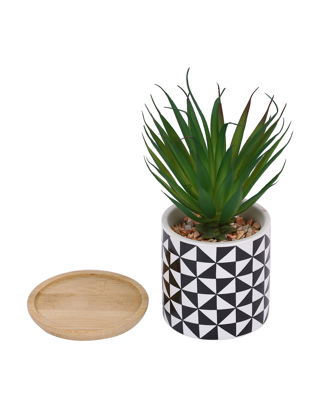 Fourwalls Stylish Succulent Plant with Printed Ceramic Vase (17.5 cm Tall) - Image 3