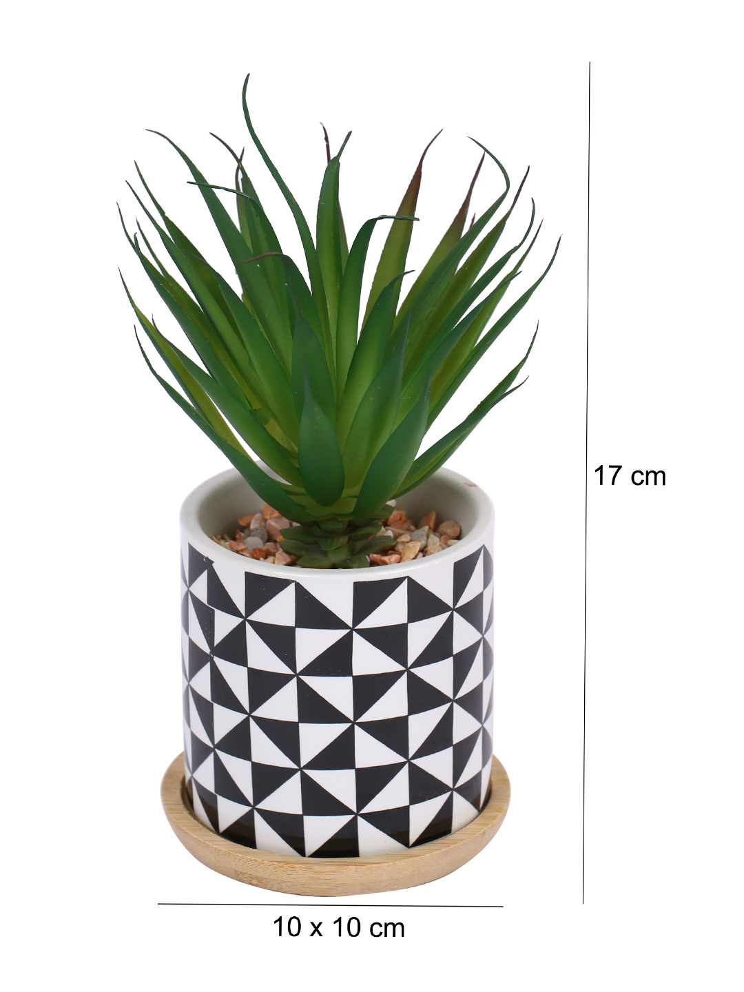Fourwalls Stylish Succulent Plant with Printed Ceramic Vase (17.5 cm Tall) - Image 2