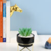 Artificial Succulent Plant with a Metal Stand