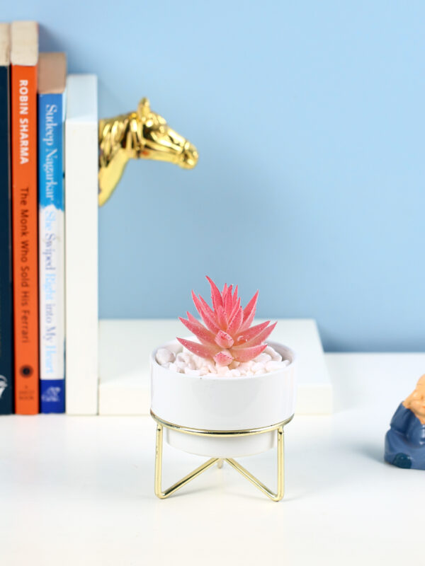 Artificial Succulent Plant with a Metal Stand