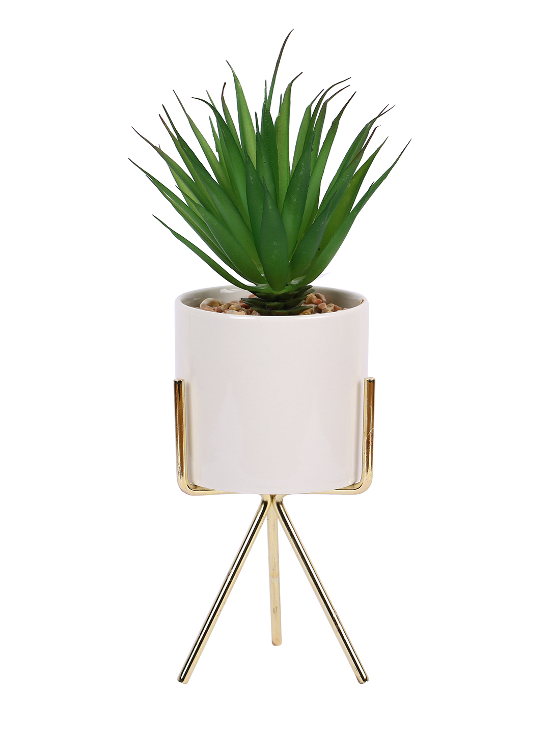Fourwalls Elegant Succulent Plant with Metal Tripod Stand (24 cm Tall) - Image 3