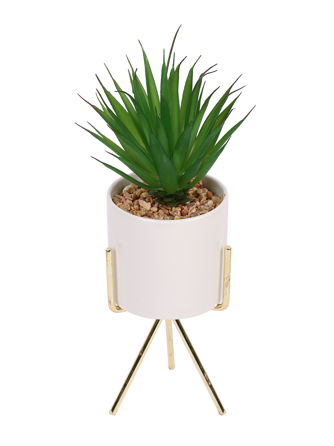 Fourwalls Elegant Succulent Plant with Metal Tripod Stand (24 cm Tall) - Image 4