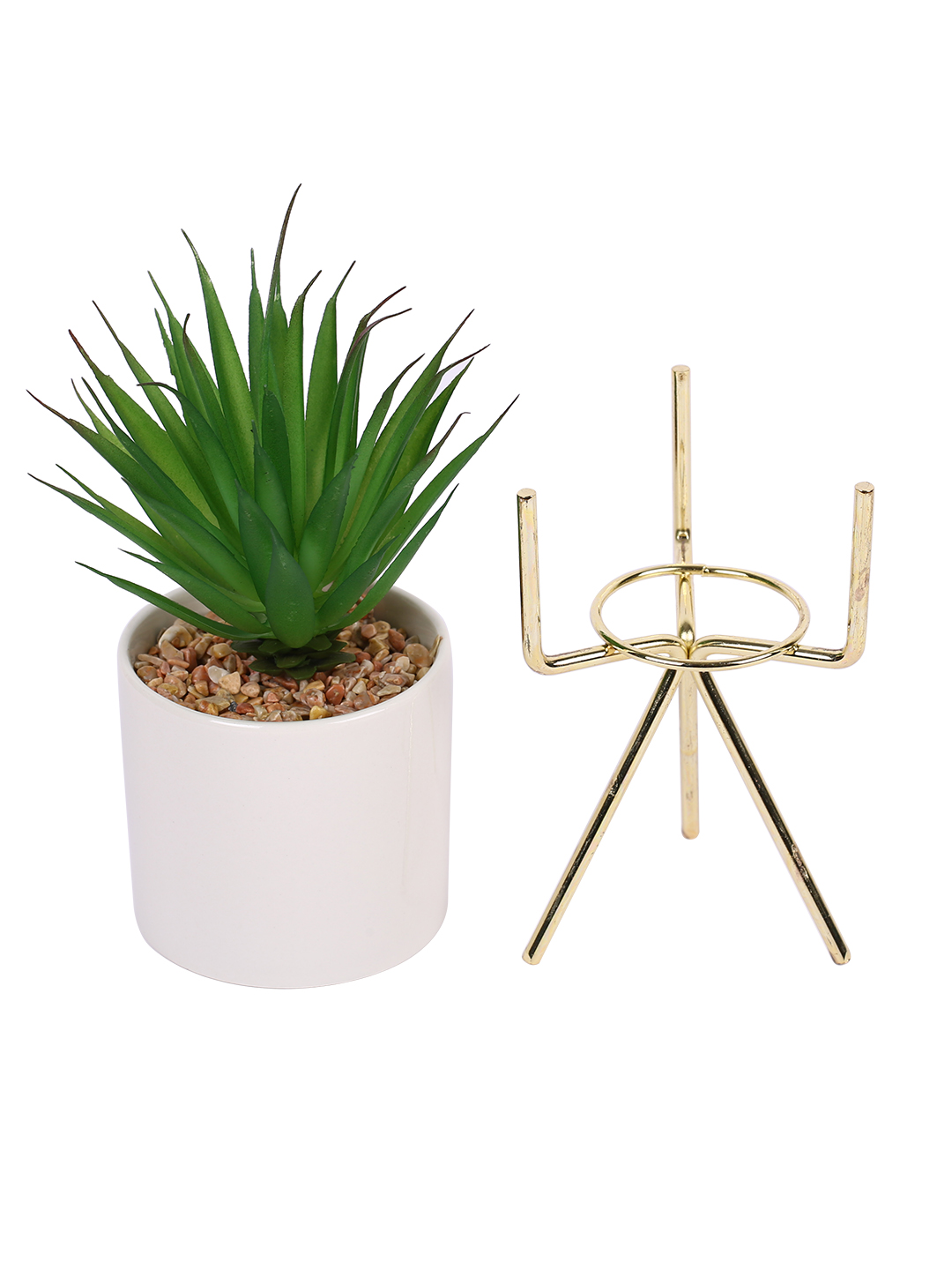 Fourwalls Elegant Succulent Plant with Metal Tripod Stand (24 cm Tall) - Image 5