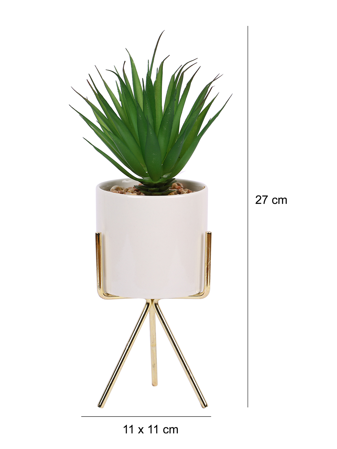 Fourwalls Elegant Succulent Plant with Metal Tripod Stand (24 cm Tall) - Image 2