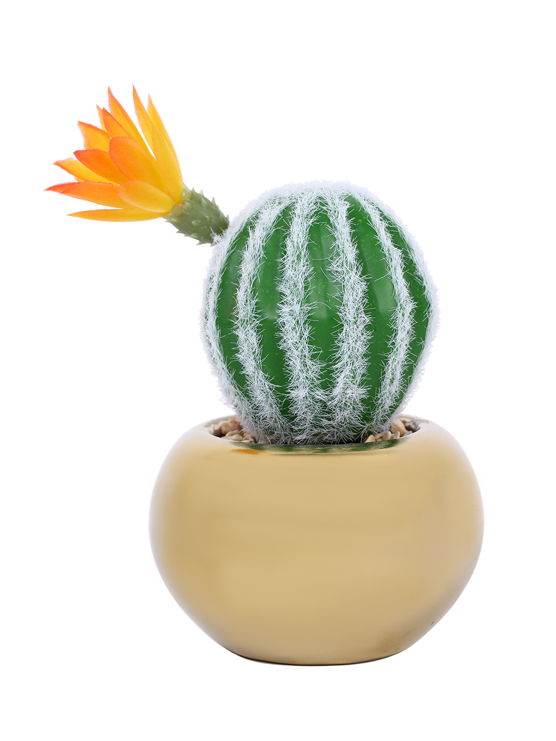 Fourwalls Stylish Succulent Plant with Round Pot (17 cm Tall) - Image 2
