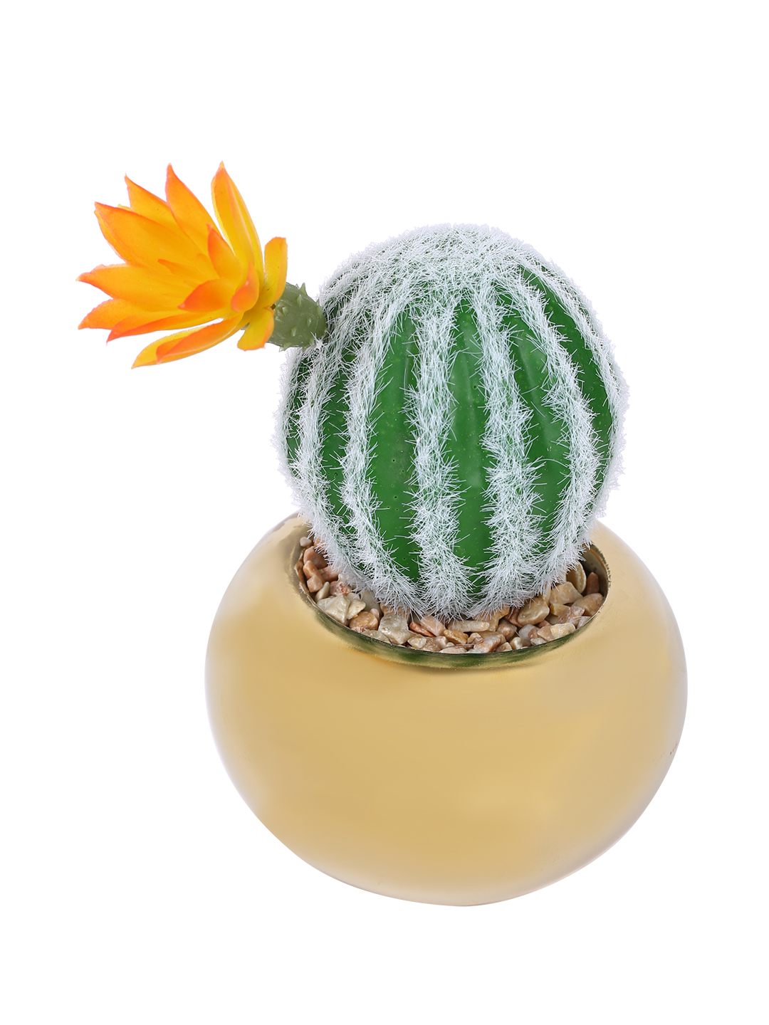Fourwalls Stylish Succulent Plant with Round Pot (17 cm Tall) - Image 3