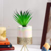 Artificial Succulent Plant with a Ceramic Pot and Metal Stand