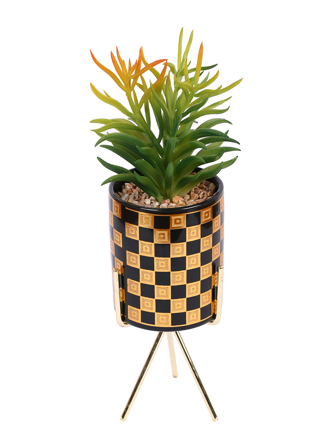 Fourwalls Elegant Succulent Plant with Metal Tripod Stand (29.5 cm Tall) - Image 4